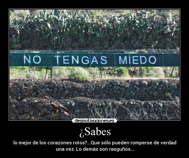 ¿Sabes -
