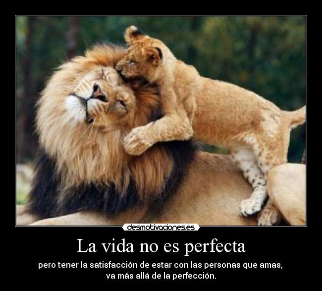 La vida no es perfecta - pero tener la satisfacción de estar con las personas que amas,
va más allá de la perfección.