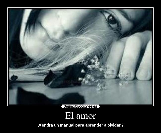 El amor - 