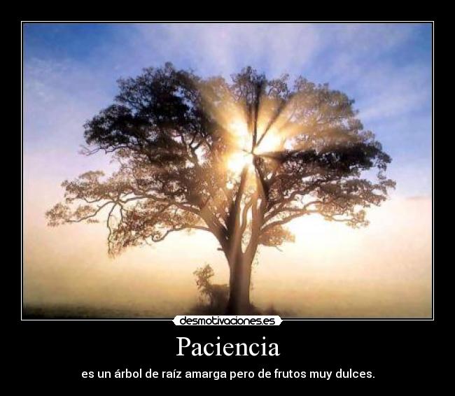 Paciencia - es un árbol de raíz amarga pero de frutos muy dulces.