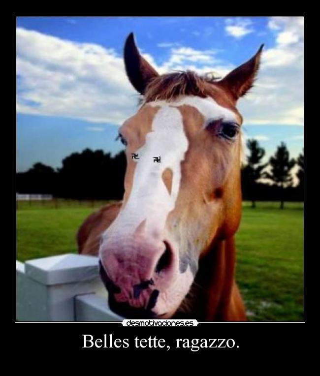 Belles tette, ragazzo. - 