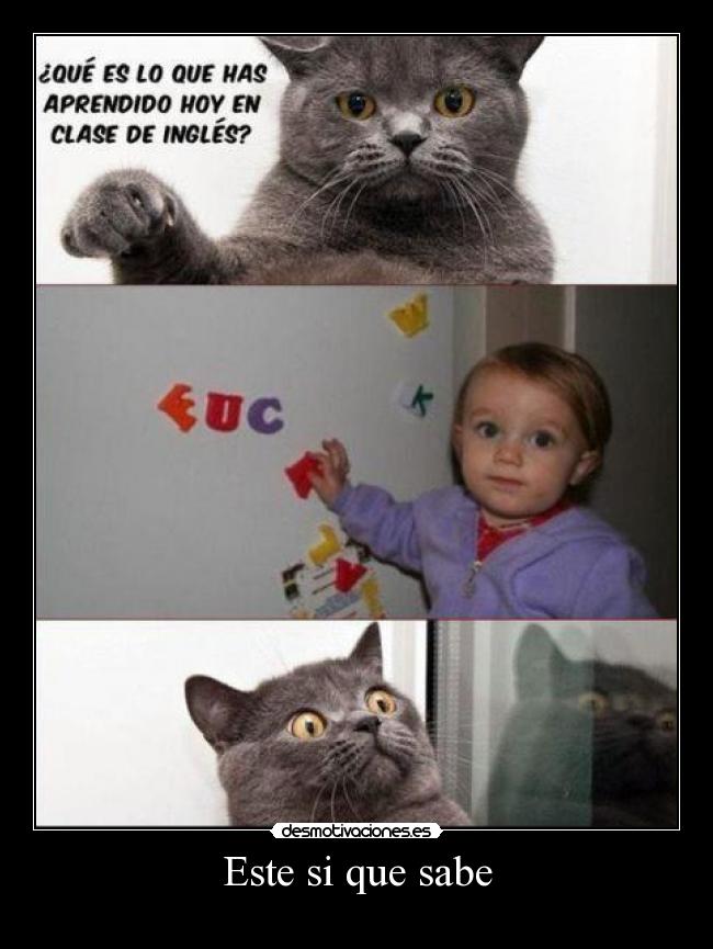 carteles que sabe desmotivaciones