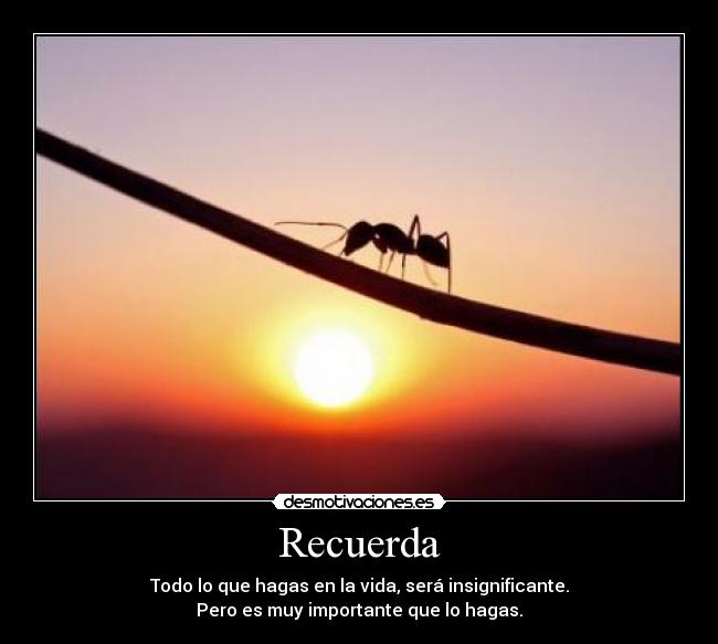 Recuerda - Todo lo que hagas en la vida, será insignificante.
Pero es muy importante que lo hagas.