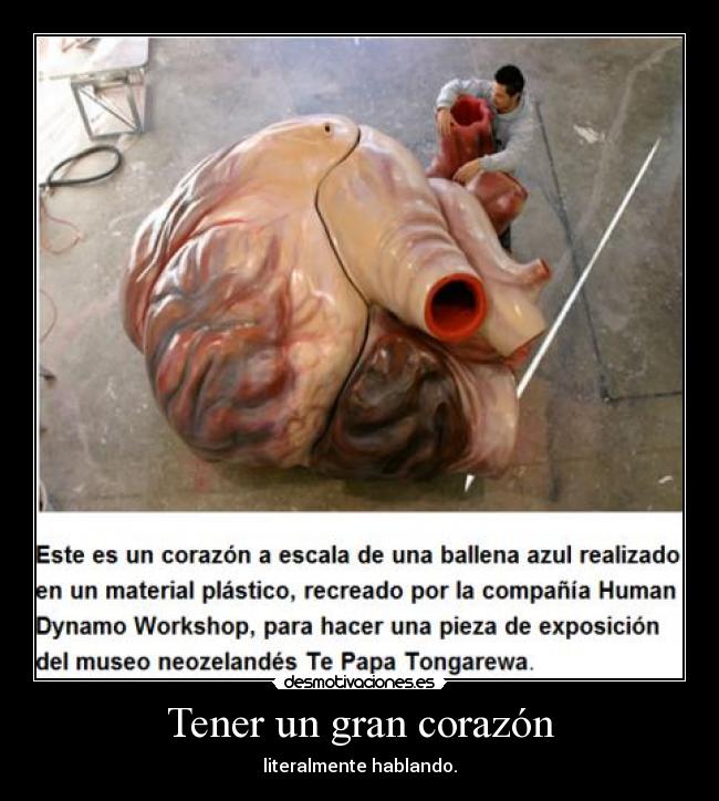 Tener un gran corazón -