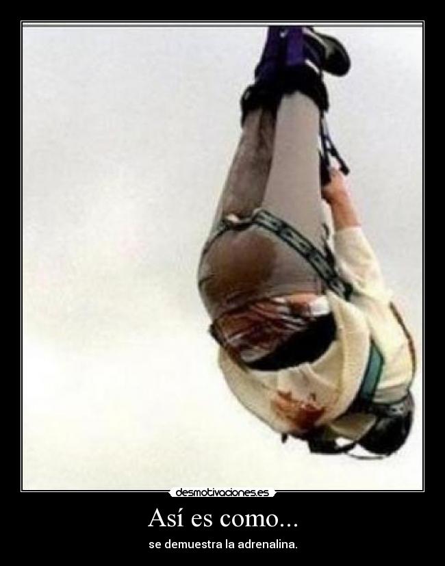 Así es como... - se demuestra la adrenalina.