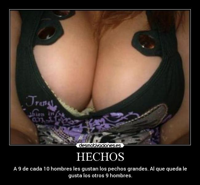 HECHOS - A 9 de cada 10 hombres les gustan los pechos grandes. Al que queda le
gusta los otros 9 hombres.