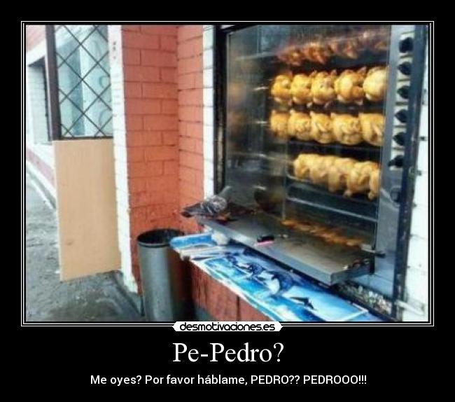 Pe-Pedro? -