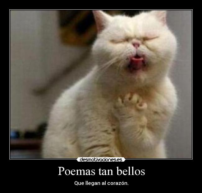 carteles nersa desmotivaciones