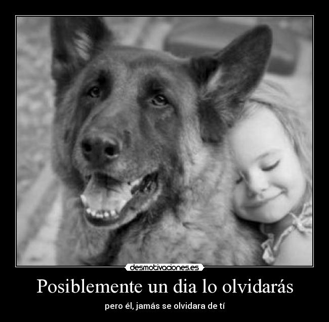Posiblemente un dia lo olvidarás - pero él, jamás se olvidara de tí
