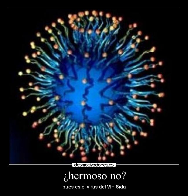 ¿hermoso no? - 