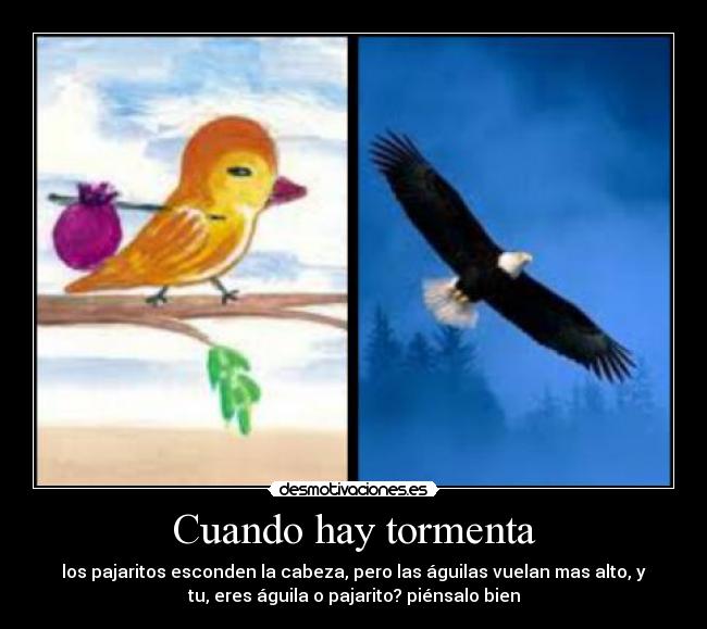 Cuando hay tormenta -