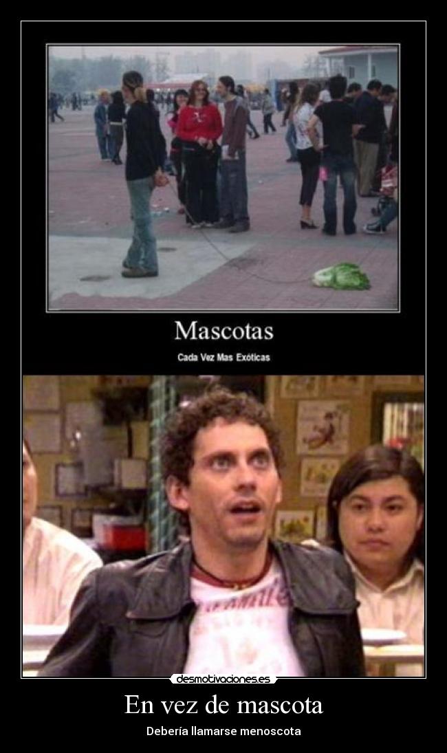 En vez de mascota - Debería llamarse menoscota