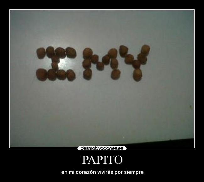 PAPITO -