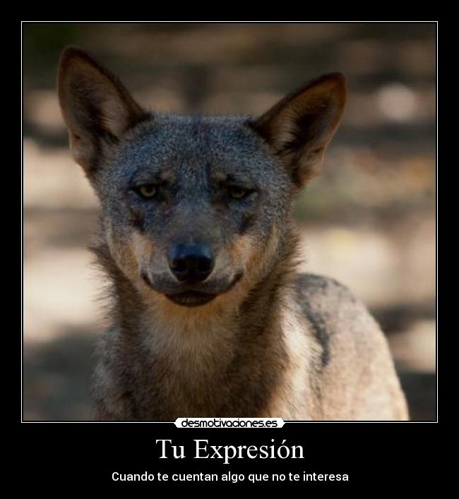 carteles expresion cuando cuentan algo interesa desmotivaciones