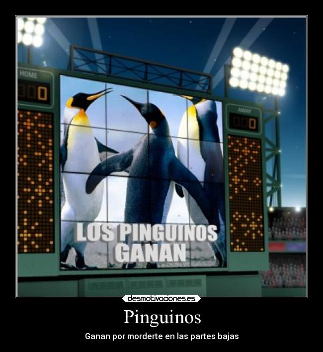 Pinguinos - Ganan por morderte en las partes bajas