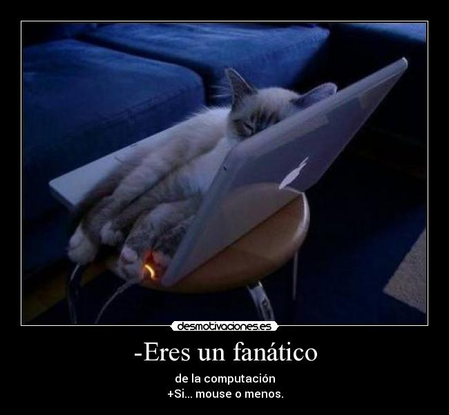 -Eres un fanático - de la computación
+Si... mouse o menos.