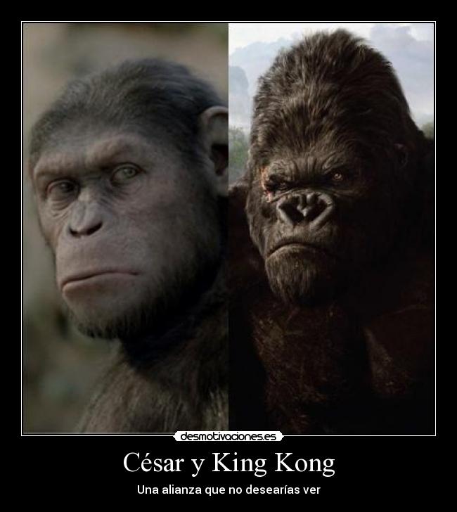 César y King Kong - Una alianza que no desearías ver