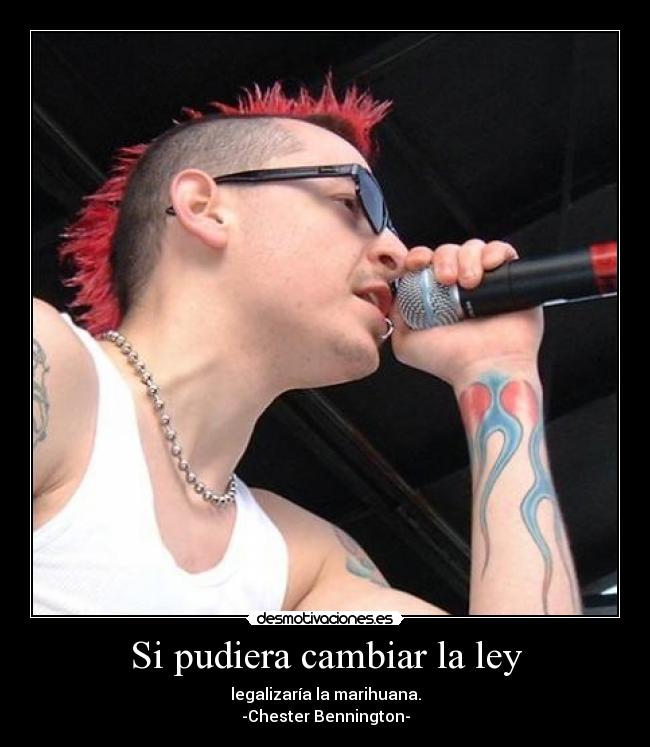 Si pudiera cambiar la ley - 