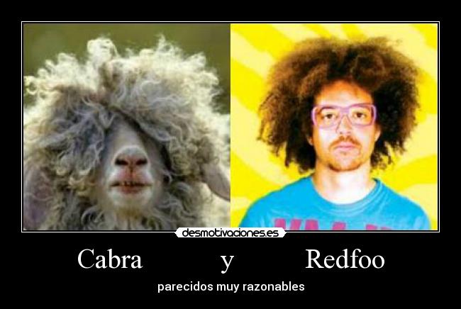 Cabra           y          Redfoo - 