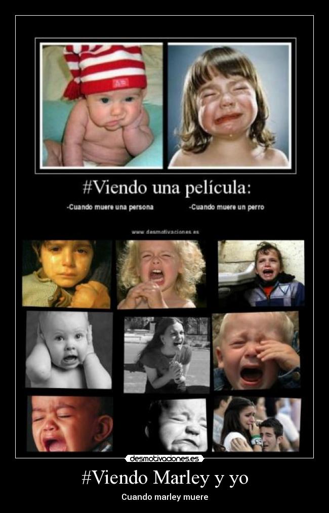 #Viendo Marley y yo - Cuando marley muere