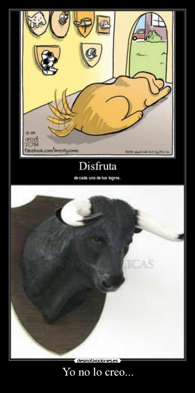 Yo no lo creo... -