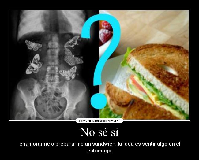 No sé si - enamorarme o prepararme un sandwich, la idea es sentir algo en el estómago.