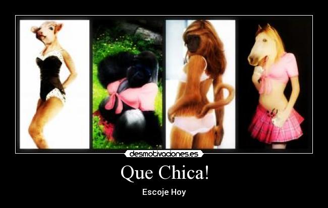 carteles perditoluu desmotivaciones