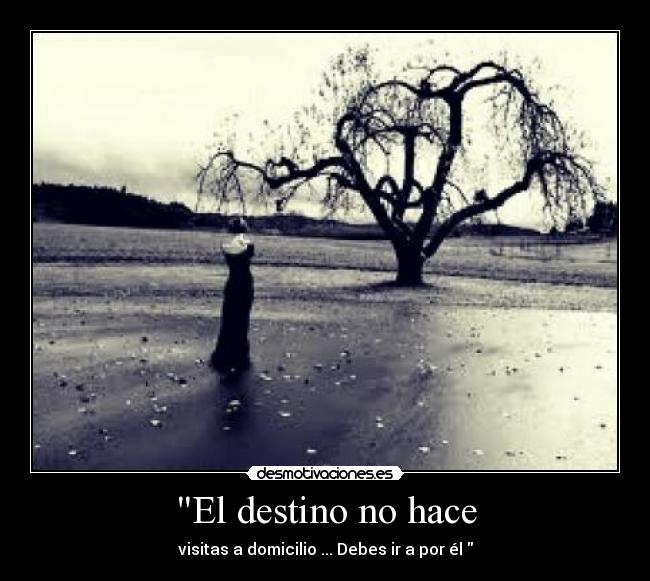 El destino no hace -