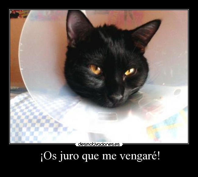 ¡Os juro que me vengaré! -