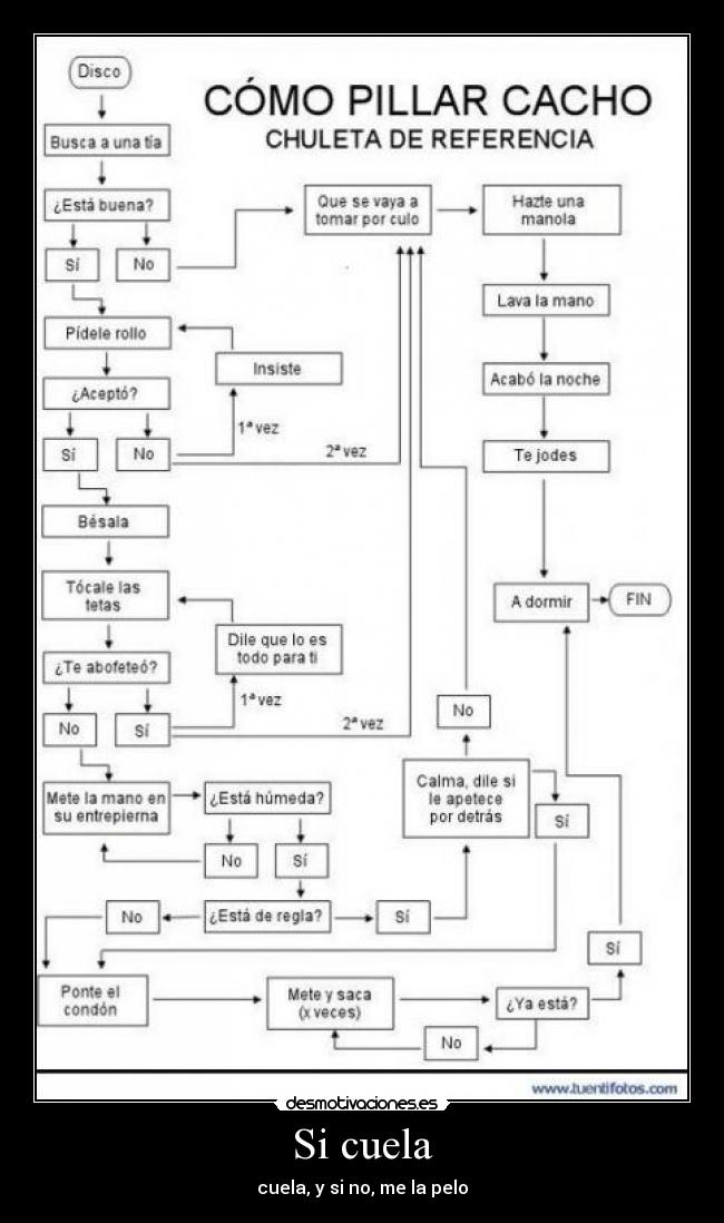 Si cuela - cuela, y si no, me la pelo