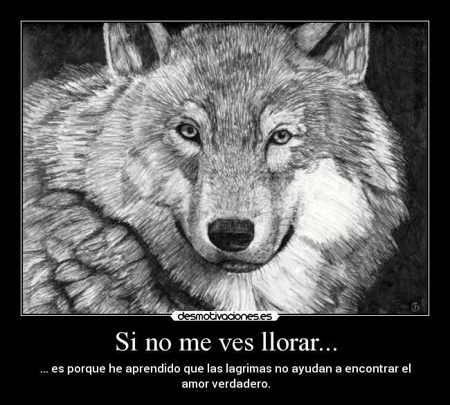 carteles llorar ves llorar aprendido lagrimas ayudan encontrar amor verdadero desmotivaciones