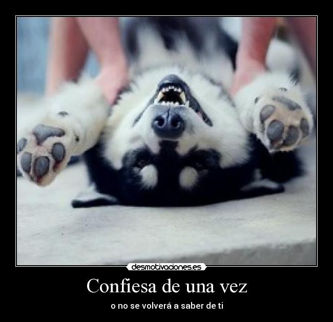 Confiesa de una vez - o no se volverá a saber de ti