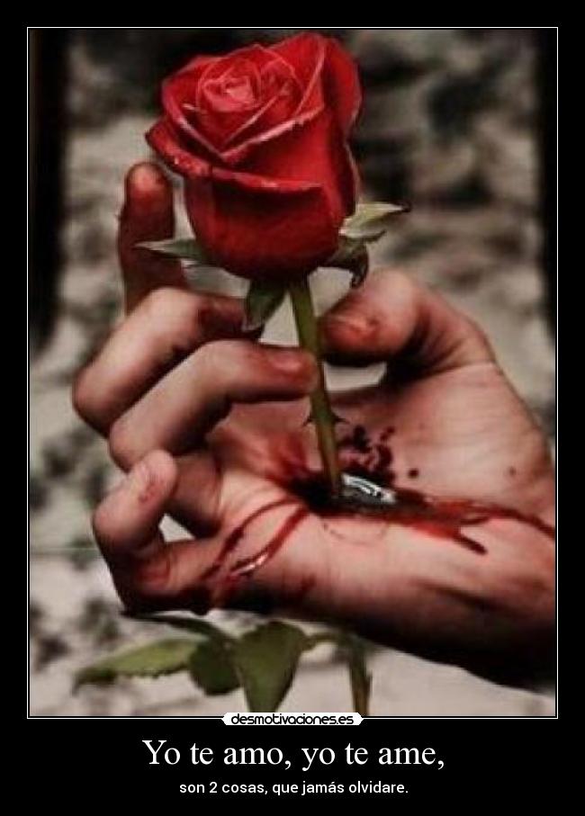 Yo te amo, yo te ame, - son 2 cosas, que jamás olvidare.
