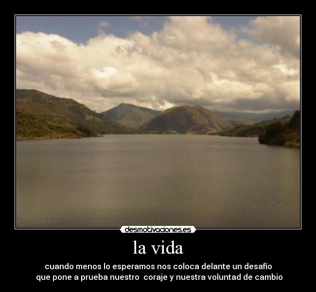 la vida - 