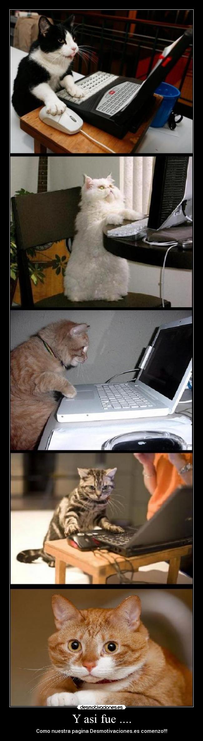 Y asi fue .... - Como nuestra pagina Desmotivaciones.es comenzo!!!
