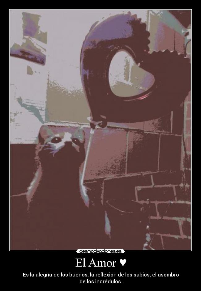 El Amor ♥ -