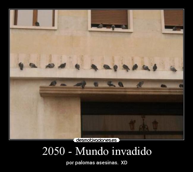 carteles mundo palomas ovnis desmotivaciones