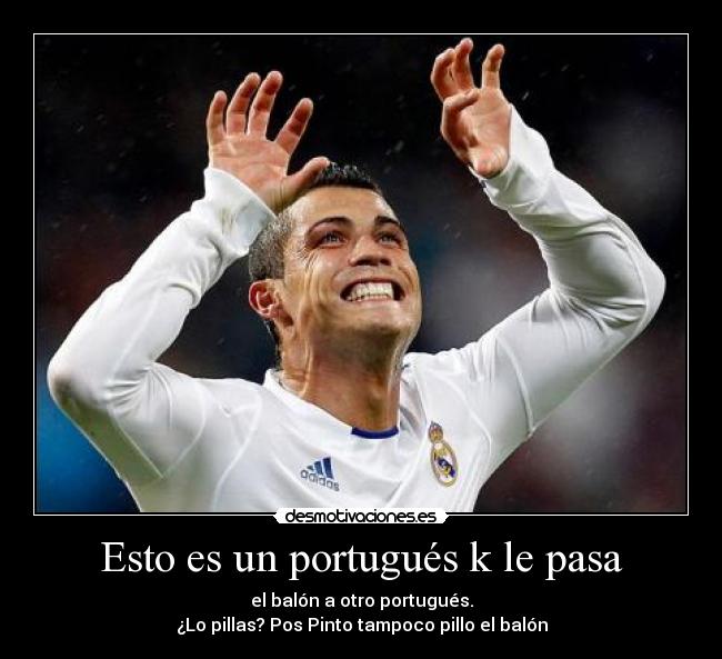 carteles esto desmotivaciones