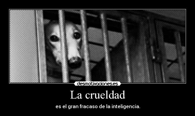 La crueldad - es el gran fracaso de la inteligencia.