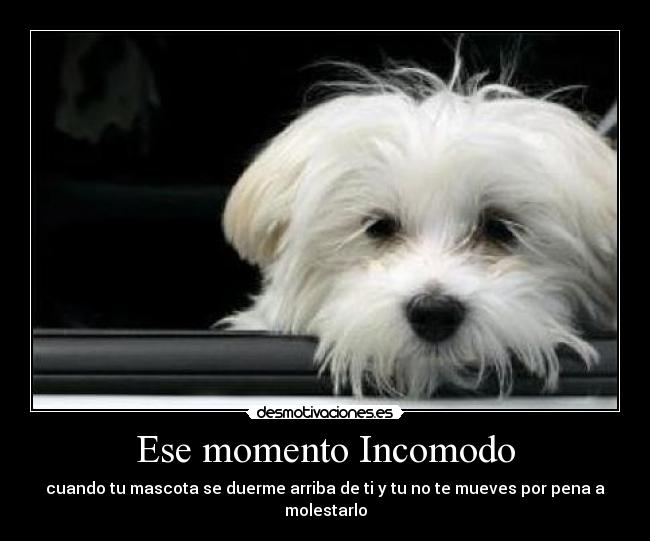 Ese momento Incomodo -