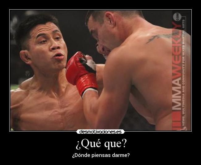 carteles boxeo desmotivaciones