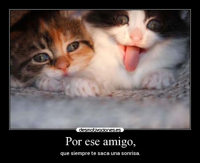 Por ese amigo, -