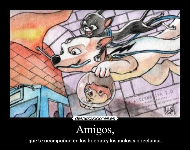 Amigos, - 