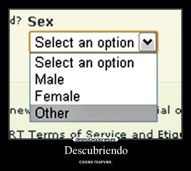 Descubriendo - cosas nuevas.