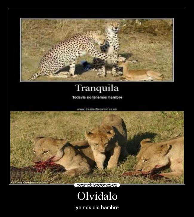 Olvidalo - 