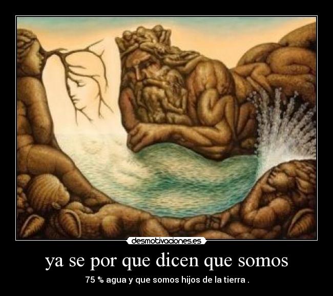 ya se por que dicen que somos - 75 % agua y que somos hijos de la tierra .