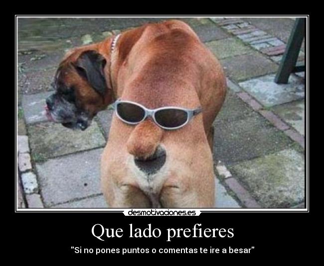 Que lado prefieres - 