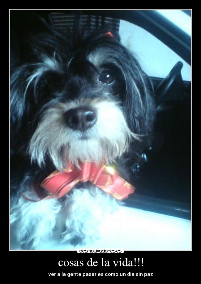cosas de la vida!!! -