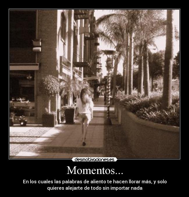 Momentos... - 