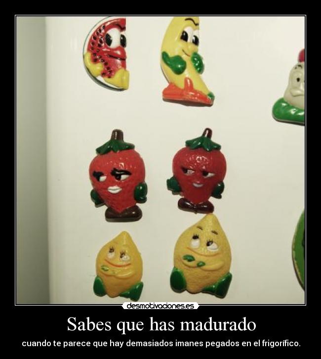 Sabes que has madurado - cuando te parece que hay demasiados imanes pegados en el frigorífico.